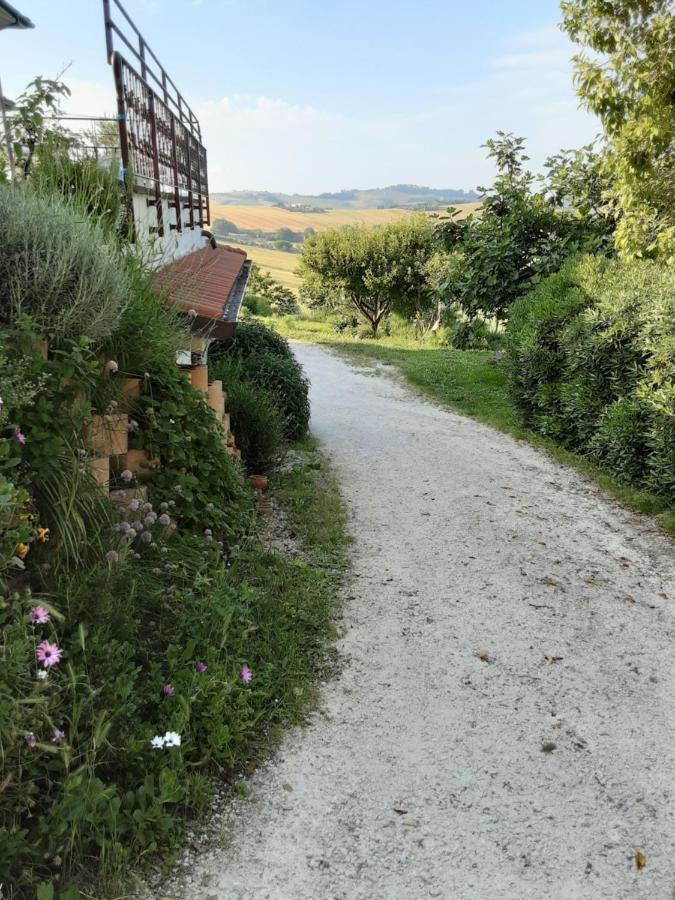 Villa Fonte La Perna Polverigi Exterior foto